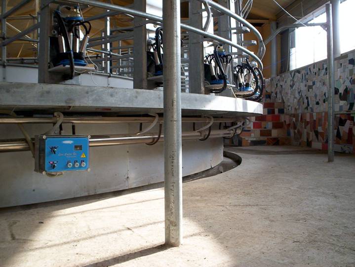 Pubblica:FOTO&VIDEO:SALE bovini e bufale:GIOSTRE:giostra UCRAINA:Giostra finita MARZO:100_7271.jpg